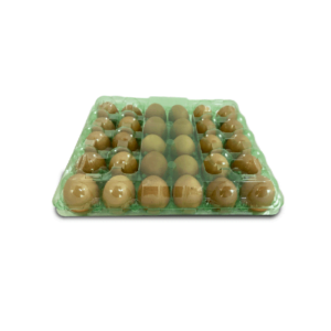 Cubetas de plástico PET reciclado para 30 huevos X290 Und Verde