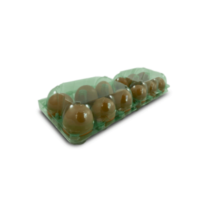 Estuches de plástico PET reciclado para 12 huevos X220 Und Verde