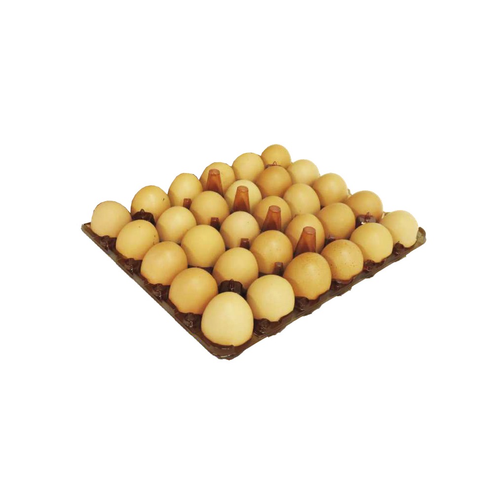 Cubetas de plástico PET reciclado para 30 huevos X290 Und Combinadas AT - Image 2